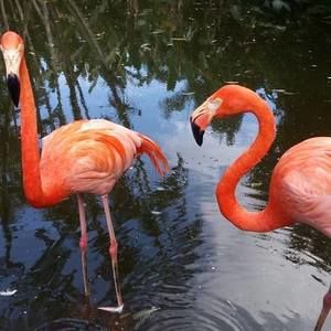 Meet your Posher, Sue